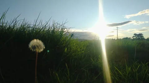 Time lapse of the sunset behind the clouds at sunset in Bosa Stock Footage 277772577