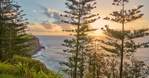 Time lapse of sunset behind Norfolk Pines and cliffs, Norfolk Island, australia Stock Footage 147954973