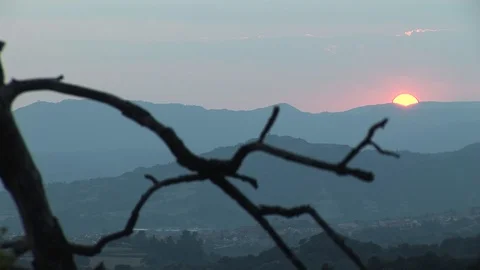 Time-lapse Of Sunset Behind Tree Branch Silhouette Stock Footage 127920183