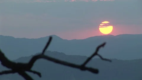 Time-lapse Of Sunset Behind Tree Branch Silhouette Stock Footage 127920199