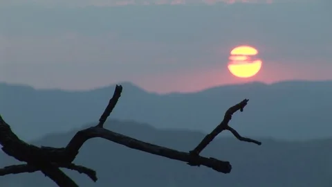 Time-lapse Of Sunset Behind Tree Branch Silhouette Stock-Footage 127920200