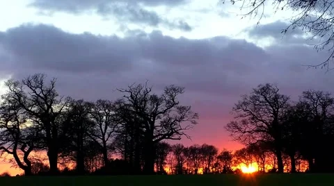 Time Lapse Sunset behind trees and rain clouds move past Stock Footage 44780415
