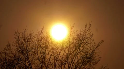 Time lapse of sunset behind the trees in 4k slow motion 60fps Stock Footage 131035274