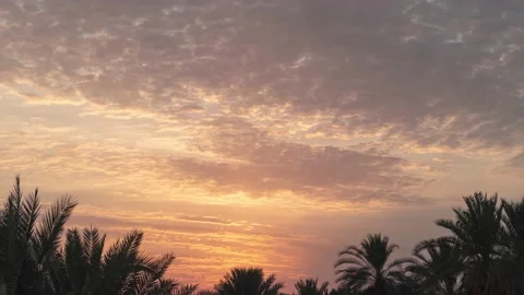 Time lapse of sunset with cloud and palm tree in Oman. Stock Footage 140457793