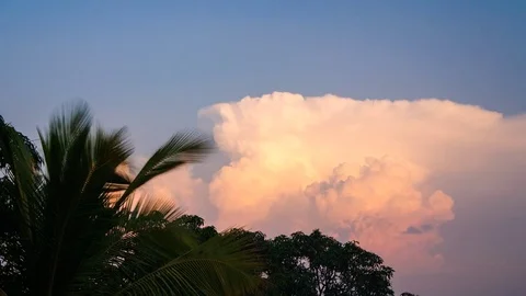 Time lapse of a sunset on clouds and palm tree 動画素材 70153127