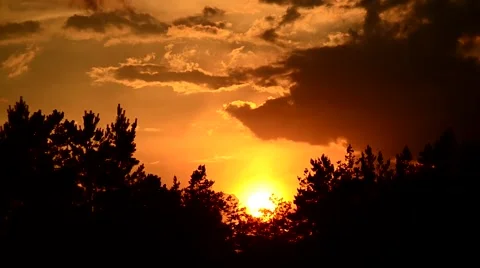 Time lapse of sunset with clouds moving above tree silhouettes Stock Footage 52485480