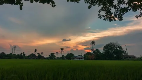 Time-lapse of sunset, clouds, paddy fields at Kepala Batas, Penang Stock Footage 229447461