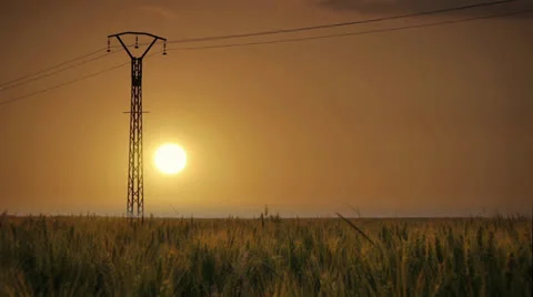 Time lapse sunset cornfield agriculture Stock Footage 25605161