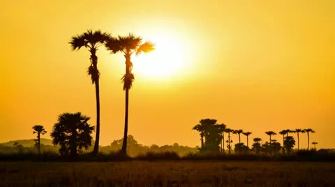Time lapse sunset on countryside field of thailand Stock Footage 20485079