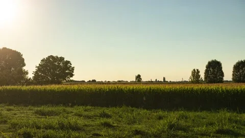 Time Lapse sunset in countryside Видео 203782594