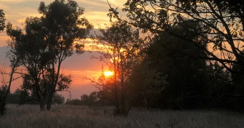 Time lapse of sunset on a field Stock Footage 101739658