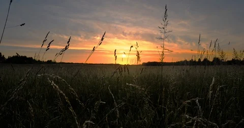 Time lapse of the sunset on a field Stock Footage 101740836