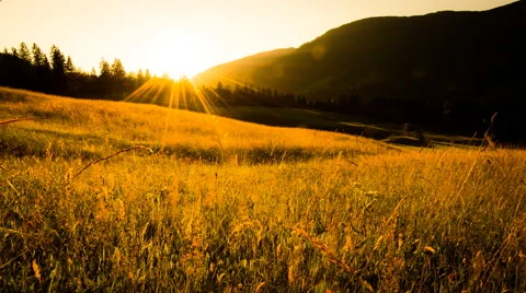 Time lapse - Sunset in the field with grass and sun in the background 스톡 동영상 58622114
