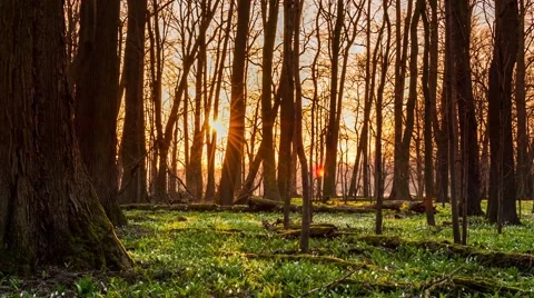 Time lapse sunset Stock Footage 48276676