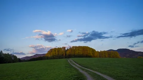 Time Lapse Sunset Forest Edge Shadows Schwarzwald 4K Stock Footage 176840654