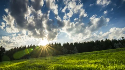 Time Lapse Sunset Forest Silhouette Edge of the forest Schwarzwald 4K Stock Footage 176835999