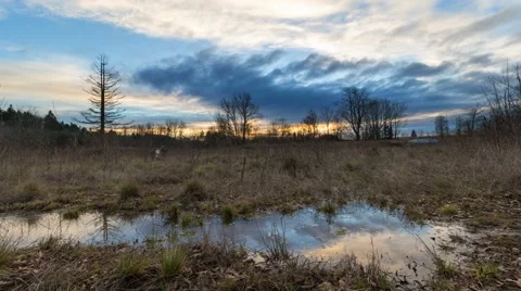 Time lapse of sunset in Foster Floodplain Natural Area in Portland OR 4k UHD Stock Footage 58896153