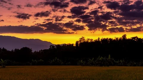 Time-lapse Sunset with golden yellow ric... | Stock Video | Pond5