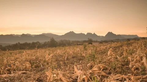 Time lapse of a sunset at harvested corn plantation. Dolly shot. 2K Stock Footage 88965284