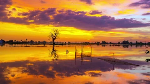 The time lapse sunset landscape in the vast floodplain wetlands Stock Footage 224599419