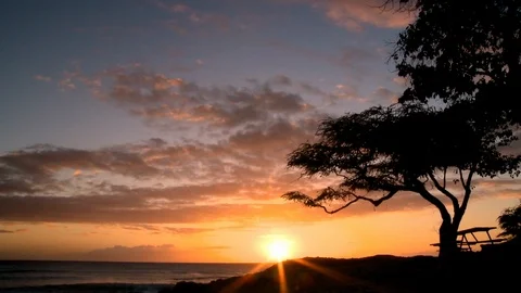 Time Lapse of Sunset in Oahu with Tree Silhouetted Stock Footage 92392891