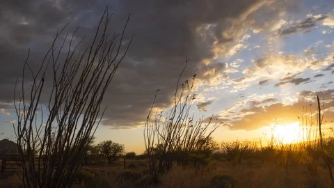 Time lapse of a sunset on the open range Stock Footage 89366578