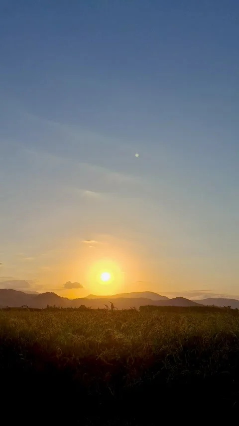 Time lapse of sunset over agricultural rice fields with mountain range on th Stock Footage 345508078