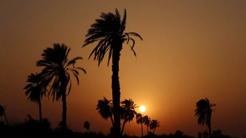 Time-lapse sunset over Lake Qarun, Fayoum, Egypt Stock Footage 163900301