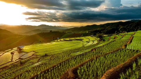 Time lapse, Sunset over the rice fields Stock Footage 113046514