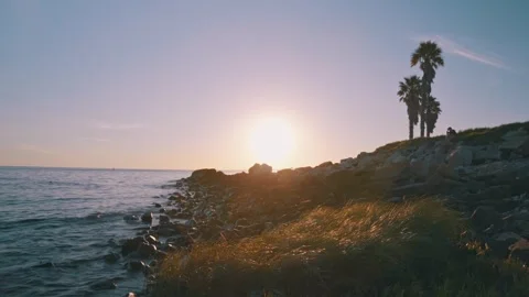 Time lapse of sunset over rocky coast with palm trees Stock Footage 345812251