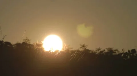 Time-lapse of sunset over the weeds on the field Stock-Footage 8366426