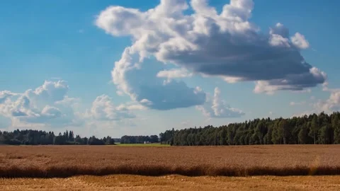 A time lapse of the sunset over a wheat field Stock Footage 138320615