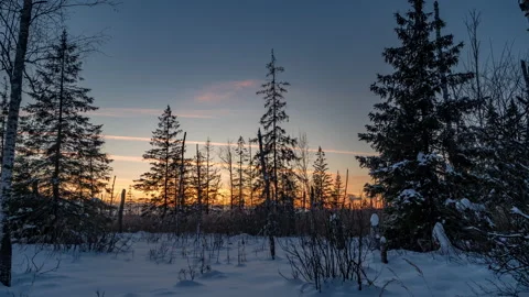 Time lapse of sunset in a pine winter forest. 動画素材 166882147