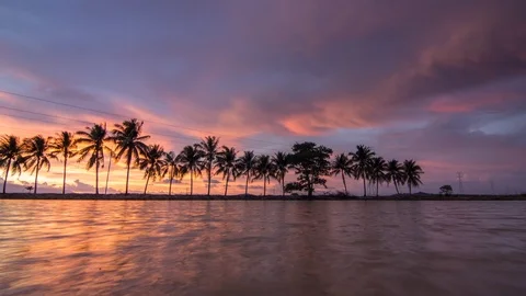 Time lapse sunset reflection coconut tree at Bukit Mertajam Stock Footage 89598735