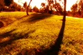Time Lapse Sunset Silhouette 40x Loop Footage