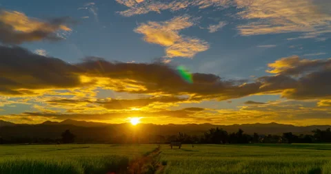 Time lapse sunset sky to dusk at the rice fields Stock Footage 159181582
