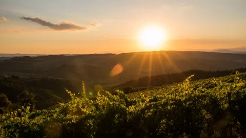 Time lapse - Sunset at a small vineyard in the italian Tuscany Stock Footage 99372303