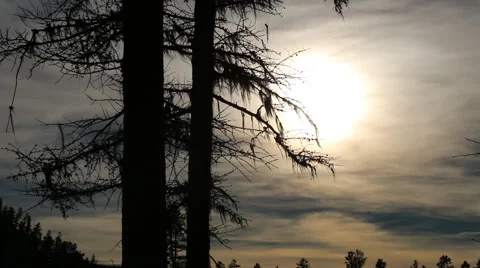 Time-Lapse Sunset Through Clouds Stock Footage 50542643