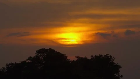 Time Lapse, Sunset with trees in the foreground Stock Footage 282567325