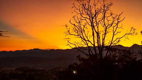 Time-lapse from sunset until dusk sky with a leafless tree. Stock Footage 257518567