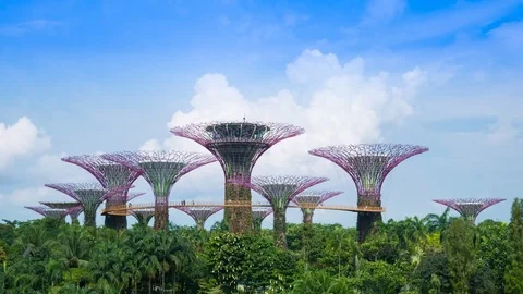 Time-lapse of supertree of gardens by the bay at Singapore Stock Footage 80915527