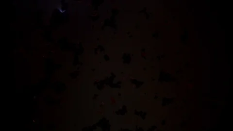 Time lapse. surface in macro when shooting through a microscope Stock Footage 129415344