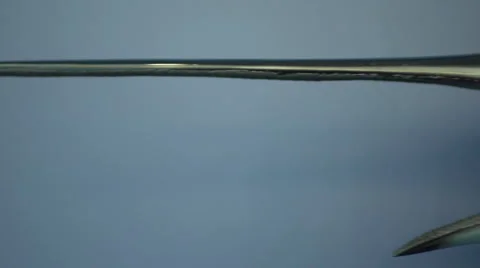 Time Lapse of a Swordfish Video stock 62700924