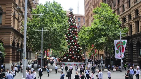 Time lapse Sydney Christmas tree Martin place 2018 December Australia NSW Stock Footage 99855220