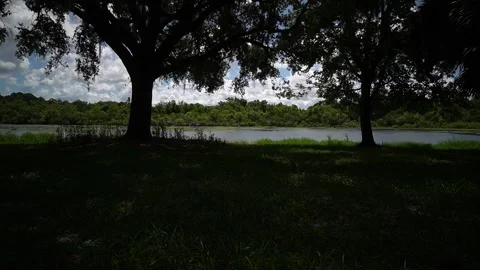 Time lapse at Taylor Park in Largo, Florida Stock Footage 201156355