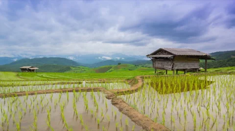 Time lapse terrace rice farm and nimbus clouds floating of thailand Stock Footage 40574351