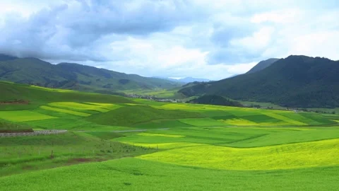 Time Lapse of Terraced Rape Flower Field Forest Mountain Drifting Cloud Stock Footage 337946342
