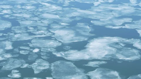 Time lapse thin sheets of ice floe moving out to sea. Flowing. 스톡 동영상 123787688