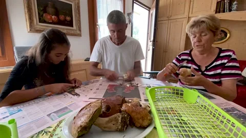 Time Lapse of Three People cleaning mushrooms at home Stock Footage 138319831