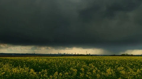 Time lapse - Thunderstorm over a canola field Vídeo Stock 76527690
